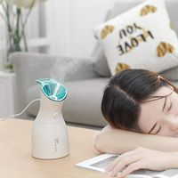 Feriay Portable USB Moisturizing Facial Humidifier Face Spray Instrument Diffusers