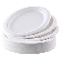 6" In Round Disposable Plates Made by Natural Sugarcane Bagasse - Biodegradable & Compostable Environmental Eco Friendly Paper Plastic Free 100% Alternative by GreenPlanet. [1000 CNT]