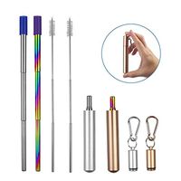 Insten 2 Pack Collapsible Straws with Case, Telescopic Stainless Steel Reusable Drinking Straws with Cleaning Brush – Silver & Rose Gold
