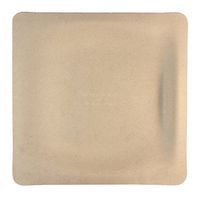 World Centric's Compostable Plant Fiber 9 inch Square Plates (Package of 200)