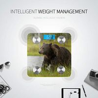 Brown Bear Walking in Forest Electronic Weight Scale Scale for Body Weight Bluetooth Body Scale Tracks 8 Key Compositions Analyzer Sync with Fitness Apps 400 Lbs