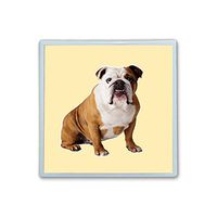 XIANN Care Contact Lens Box Holder Container Case Storage Eyecare Kit - Bulldog