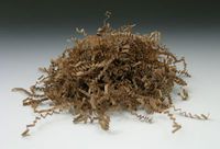 10 lb. Box of Crinkle Cut Paper - Kraft - AB-240-4-01