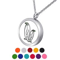 HOUSWEETY Aromatherapy Essential Oil Diffuser Necklace-Stainless Steel Locket Locket,11 Refill Pads(Non-engraving)