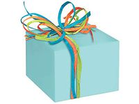 Gloss Color Gift Wrap Paper - Aqua Gloss 24"x417' Solid Color Gift Wrap Counter Roll (1 roll) - Wraps -3278H24
