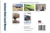 Chris Wilde Photo Local Moose of Jackson Note Card Gift Set