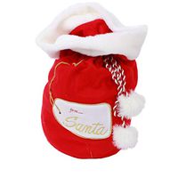 DEI from Santa Gift Bag, 9" X 20", Multicolored