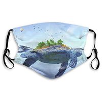 Mouth Masks for Dust Protection Anti Face Mask Washable Earloop Mask Activated Carbon Filter