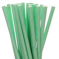 Biodegradable Paper Straws Mint Green Solid (75)