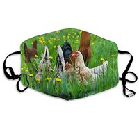 Face Mask Fresh Pastured Chicken Custom Personalized Cycling Half Face Earloop Dust Mask for Man