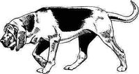 ELKS Unique Design Sniffing Bloodhound Dog CAR Decal Sticker, Black, 8 Inch, Die Cut Vinyl Decal, for Windows, Cars, Trucks, Toolbox, Laptops, MacBook-virtually Any Hard Smooth Surface