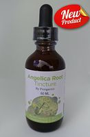 Angelica Root Tincture by Prorganics