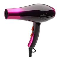 QAZWSXE Hair Dryer Hood Portable,Hair Dryer Portable Hook 2200W High Power Constant Temperature Hair Care Noise Reduction Design Detachable Air Inlet