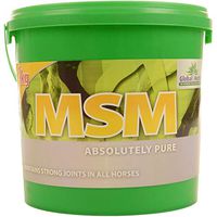 Global Herbs - MSM: 1kg