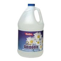 AMMONIA CLEAR GL