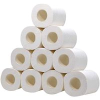 Toilet Paper 10 Rolls Toilet Roll Tissue 4-Ply White Toilet Paper Soft Smooth Paper Towels Tissue for Household Daily Kitchen,Business,Bathroom