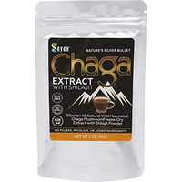 Sayan Siberian Chaga Mushroom Extract with Shilajit Powder 2Oz / 56G – Powerful Antioxidant Fulvic Acid Supplement – Immune System Health Booster, Inflammation Reduction + All Natural Yeast Support