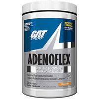 GAT Sport AdenoFlex, Melonberry, 13.8oz 390g
