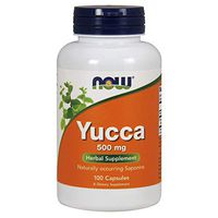 NOW Supplements, Yucca (Yucca spp.) 500 mg, 4:1 Concentrate, Herbal Supplement, 100 Capsules