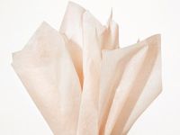 Smoked Oyster Tissue Paper 20x30" 480 Sheet Flat Ream - Wraps-CTFSM