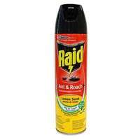 Raid Ant & Roach 17.5oz Lemon , Case of 48