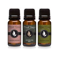 Trio (3) - Sandalwood, Woodland Bay & Frankincense - Premium Fragrance Oil Trio - 10ML