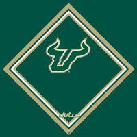 University of South Florida Micro-Fiber Cleaning Cloth