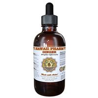 Ginger (Zingiber officinale) Liquid Extract Tincture 4 oz