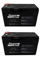 Set of 2 Razor MX350 Dirt Rocket 12 Volt 8.0 Ah SLA Replacement Batteries Beiter DC Power