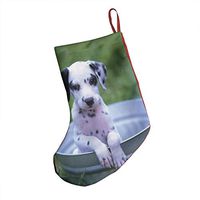 Fun Animals Dalmatian Cool Xmas Socks Hanging Decoration Candy Bag Party Holiday Christmas Santa Claus Home Decor Gift