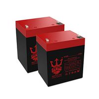 UB1250 12V 5Ah Brinks Security Box Replacement Battery NT1250 by Neptune - 2 Pack