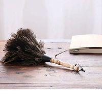 ZHANGY Hand Duster-Perfect to Clean Ceiling Piano, dashboards, Bookshelves, Pets,Small