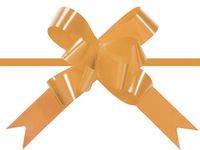 GOLD 4" Butterfly Pull BowsMagic Pull Bows 100% Polypropylene (2 unit, 100 pack per unit.)