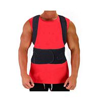 Back Brace Support Belt for Men and Women - Adjustable Lumbar Lower Back Support - Helps Relieve Lower Back Pain and Stress (L)