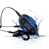 Diver 4GB Waterproof MP3 Player with LCD Display and Earphones (Blue)