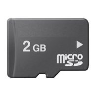 Lowpricenice 2 GB MicroSD Memory Card