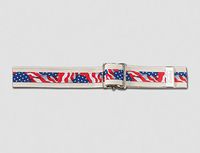 Posey 6549 Stars and Stripes Gait Belt with Nickel Buckle, 51"
