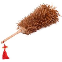 ZHANGY Manual Duster - Ostrich Feathers, Perfect Clean Ceiling Piano, Bookshelves, Pets, can be Used as Toys/Playing Accessories/Props