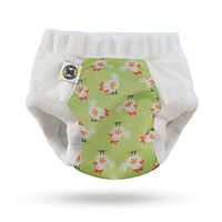 Nighttime Undies (Size 2 (4-6 yrs), Chicken)