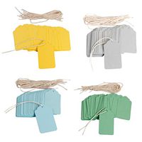 TOYANDONA 800pcs Colored Blank Tags Hard Rounded Price Tags Gift Tags for Celebration Christmas