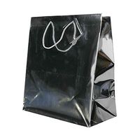 JAM PAPER Foil Gift Bags with Rope Handle - Large - 10 x 13 x 4 - Silver Foil - Sold Individually