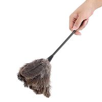 Ostrich Feather Duster, Mini Handmade Long Handle Soft Ostrich Cleaning Duster For Dusting Household Ornaments, Light Fittings, Fan Blades