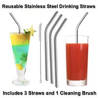 Reusable Stainless Steel Drinking Straws (3) and Cleaning Brush (1)