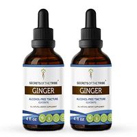 Ginger Alcohol-Free Tincture Liquid Extract, Organic Ginger (Zingiber officinale) Dried Root (2x4 fl oz)