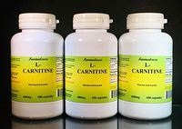 L-Carnitine 600mg + Coq-10 (3 Bottles - 300 [3x100] Capsules)