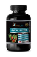 Stress Relief Supplement for Men - Adrenal Support Advanced Complex with ASHWAGANDHA Astragalus and PANAX Ginseng - panax Ginseng Extract - 1 Bottle 60 Capsules