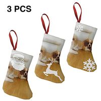 Christmas Stockings Gift Bag Stunning Cavachon Puppies Personalized for Funny Xmas Party