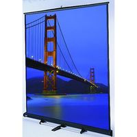 Model C Matte White 69" H x 92" W Manual Projection Screen