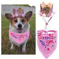POSAPET Dog Birthday Bandana Scarfs Girls Crown Dog Birthday Hat Doggie Cat Triangle Scarf Set Pet Birthday Decoration(Pink)