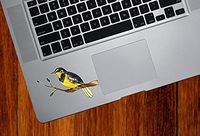 Bird - Western Meadowlark Bird on Branch - Stained Glass Style Opaque Vinyl Laptop MacBook Decal - Copyright 2015 Yadda-Yadda Design Co.(SM 3.75"w x 2.75"h)